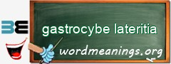 WordMeaning blackboard for gastrocybe lateritia